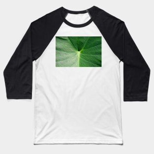 Taro leaf oil painting effect Baseball T-Shirt